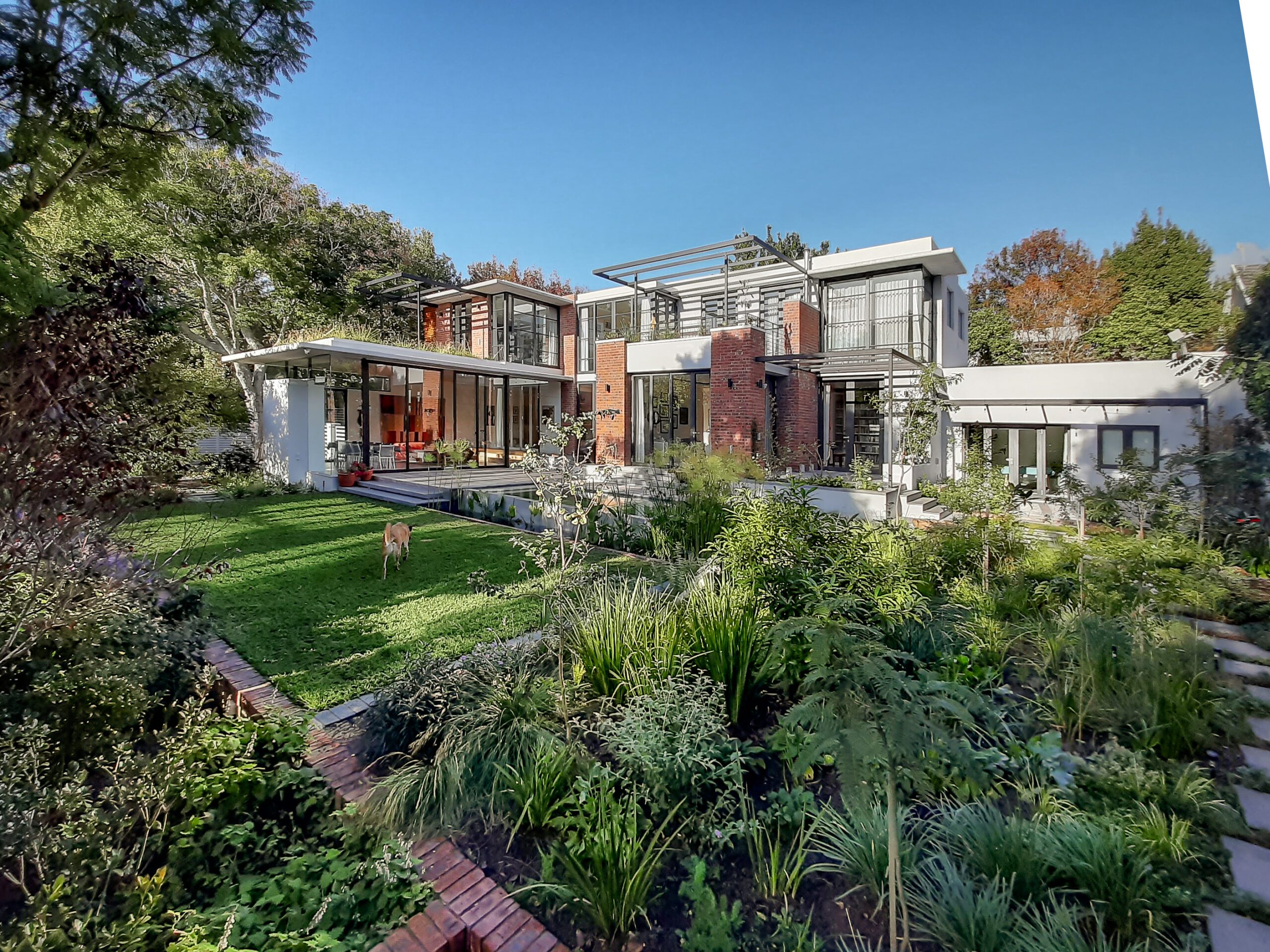 Fernwood, Newlands